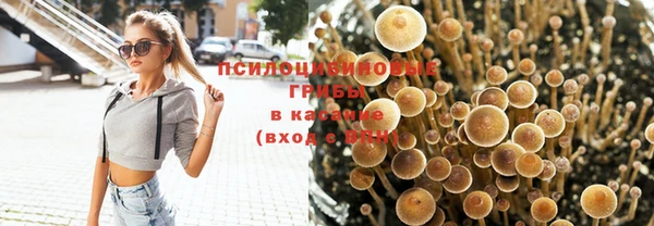 спайс Алзамай