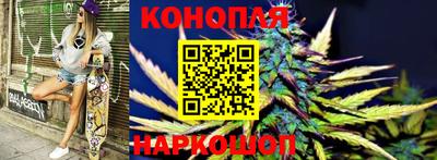 a pvp Гатчина