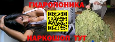 a pvp Гатчина