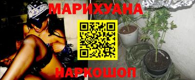 a pvp Гатчина