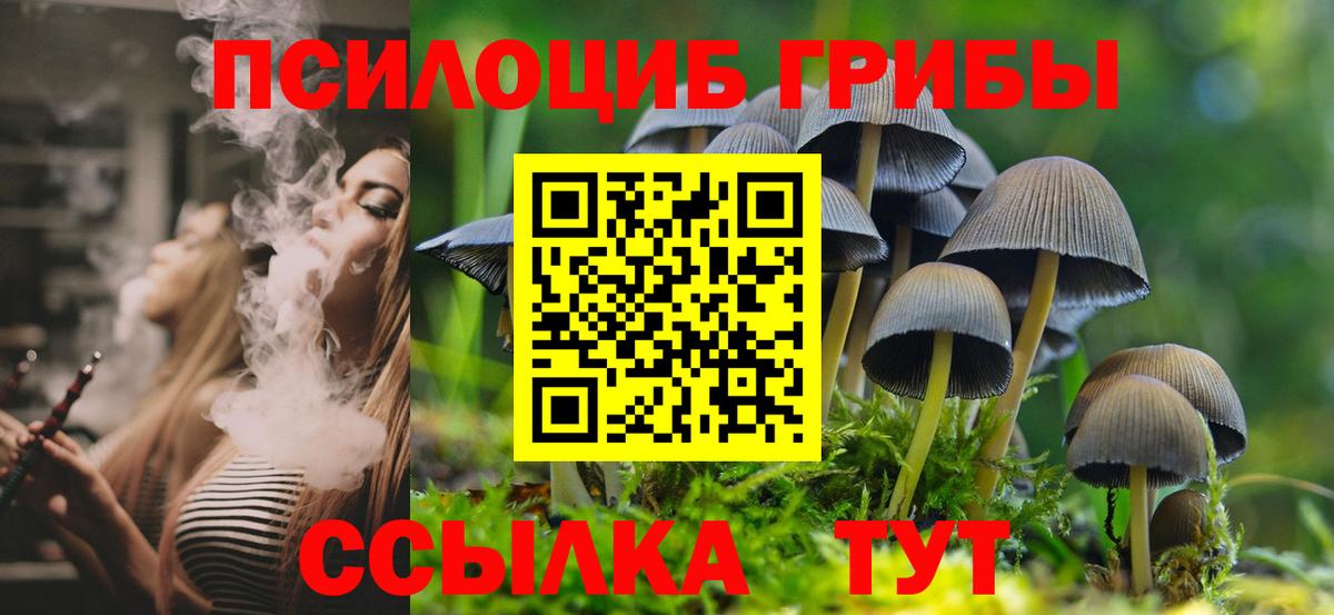 Галлюциногенные грибы ЛСД  Вход с VPN  купить наркоту  Нефтекумск 