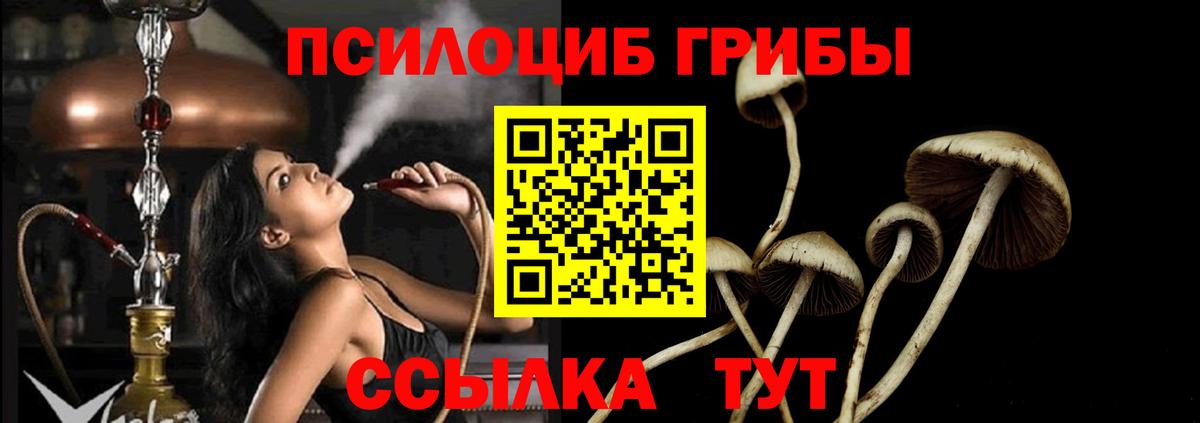 Галлюциногенные грибы MAGIC MUSHROOMS Нефтекумск